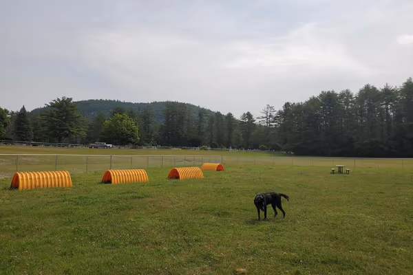 Hague Dog Park photo 1